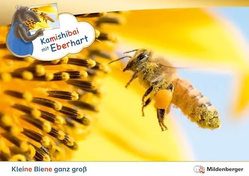 Kamishibai mit Eberhart – Kleine Biene ganz groß – Set - Lernhilfen: Kreatives Erzähltheater-Set mit Karten und (Vor-)Leseheft für fesselnde Geschichten und spielerisches Lernen.