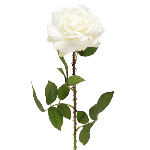 Produktbild Romantische Dekorose für elegante Tischdeko und festliche Arrangements