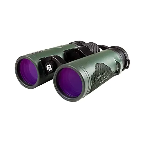 Professor Optiken Karwendel - 10x42 V2.0 Fernglas inkl. Zubehör - phasenvergütete BaK-4-Prismen - lichtstarkes Fernglas für Jagd, Natur- und Vogelbeobachtung - robust, stickstoffgefüllt & wasserdicht