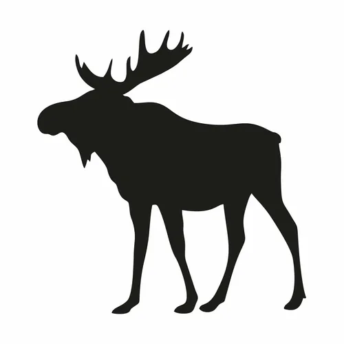 Auto-Aufkleber Elch I 120 x 126 mm I Schwarz I Wohnmobil-Sticker I kfz_636