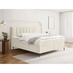 Boxspringbett Allen 160 x 200 cm mit Bettkasten und 7-Zonen Taschenfederkern-Matratze - Praktisches Boxspringbett mit Bettkasten für zusätzlichen Stauraum und 7-Zonen Taschenfederkern-Matratze (H4) für stabilen Komfort. Wählen Sie zwischen trendigem Boucle oder Samtstoff.