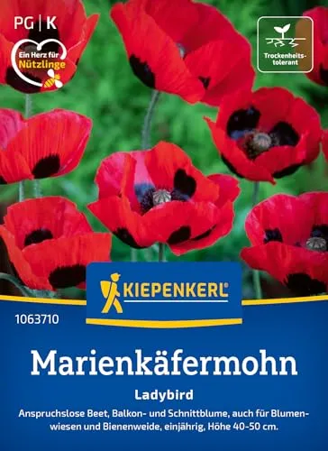 Kiepenkerl Marienkäfermohnsamen Ladybird 1063710 - Blumensamen für Beet, Balkon- und Schnittblumen mit einer Wuchshöhe von 40 bis 50 cm - Saatgut, Pflanzen
