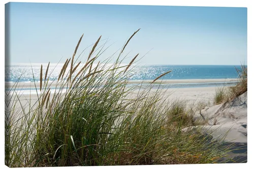 Posterlounge Wandbild Düne, Reiner Würz, erhältlich als Poster, Leinwandbild, Wandsticker oder Acrylglasbild