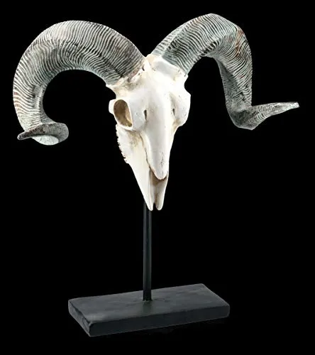 Figuren Shop GmbH Widder Gothic Totenkopf auf Metall Ständer | Fantasy Skull, Dekofigur, Tierfigur, Dekoartikel, Skulptur, Statue, H 46 cm