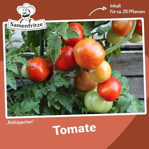 Rotkäppchen Tomatensamen