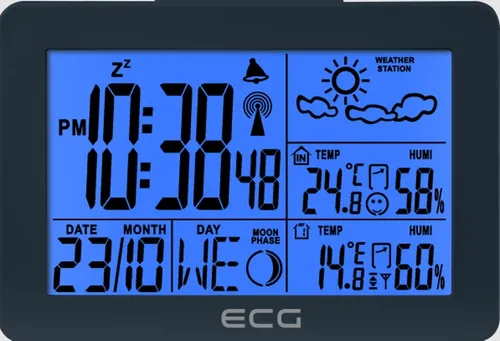 ECG MS 200 Grey Wetterstation #1907351