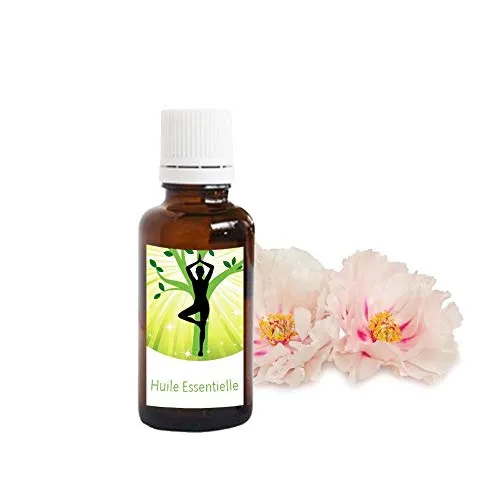 Duftöl – Pfingstrose