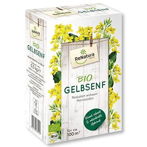 ReNatura Bio Gelbsenf Sinapis alba 0,5 kg Gründüngung Zwischenfrucht