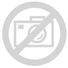 Dr. Bassleer Biofish Food excel FLAKE - 140 g