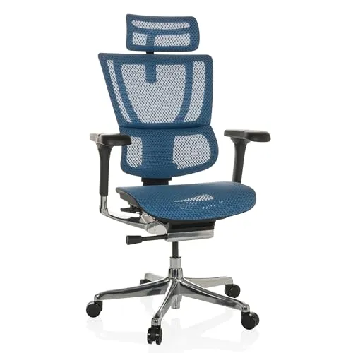 hjh OFFICE Luxus Chefsessel ERGOHUMAN SLIM GEN2
