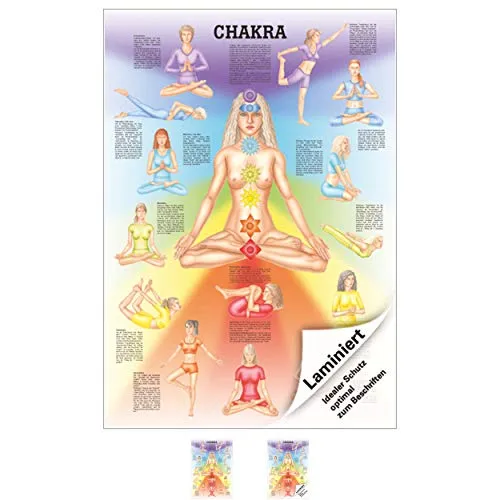 Ruediger Anatomie TA74LAM Chakra Tafel, 70 cm x 100 cm, laminiert - Medizinische Schulungsmaterialien mit anatomisch genauen Zeichnungen auf Hochglanzpapier, ideal für Lehrzwecke und die visuelle Unterstützung.