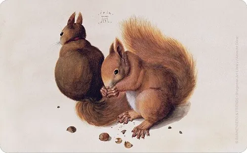 Rannenberg & Friends, Eichhörnchen Frühstücksbrettchen RFB329 Geschirr