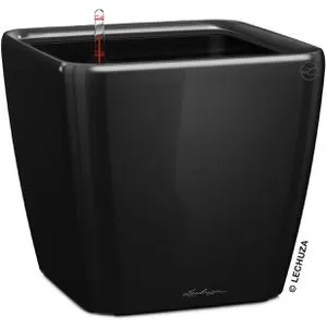 Blumentöpfe & Pflanzgefäße Schwarz von Lechuza