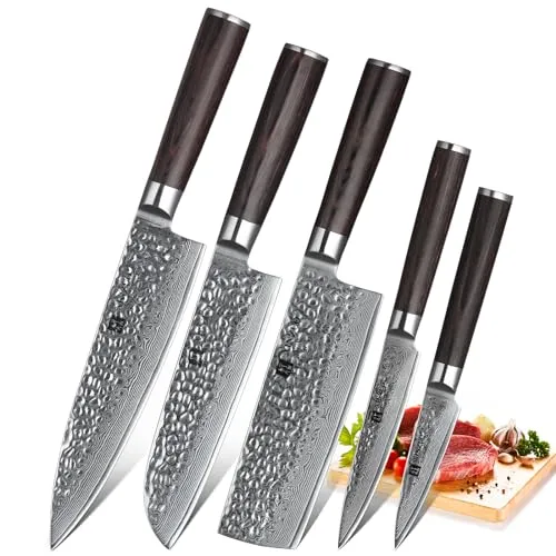 XINZUO Damaskus Küchenmesser Set 5er, Scharf Gyuto VG10 Edelstahl mit Hohem Kohlenstoffgehalt Chefmesser Santokumesser Nakirimesser Allzweckmesser Obstmesser Ergonomischer Pakkaholz Griff