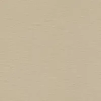 Rasch Vliestapete Salsa 449815 Uni Hellbraun 10,05x0,53 m in braun von Rasch