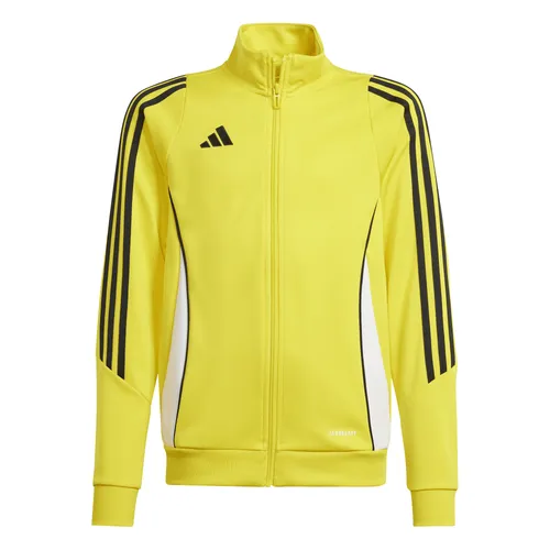 adidas Performance Tiro 24 Trainingsjacke Kids in gelb von adidas