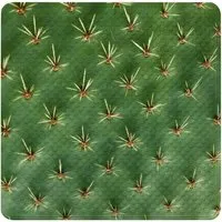 Sanilo Duschmatte Kaktus von Sanilo