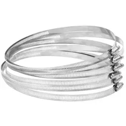 vidaXL Schlauchschellen 6 Stk. 91-220 mm Edelstahl 304