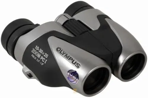 Olympus 10-30x25 Zoom PCI - Kompaktes Fernglas mit 10-30x Vergrößerung, idealer Reisebegleiter mit schützendem Etui