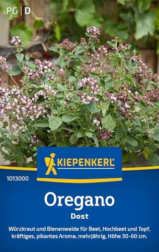 Kiepenkerl Oreganosamen Dost 1013000 - Würzkraut - Bienenweide - Mehrjährig - Höhe 30-60 cm - Inhalt für 100 Pflanzen - Kräutersamen, Samen Kräuter, Saatgut