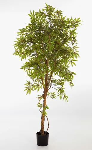 Kunstbaum Japanischer Ahorn 210 cm - Lebendige Farben für Ihr Zuhause - Eleganter Kunstbaum mit 740 Blättern in hellgrün-rot. Ideal für die Innendekoration und sorgt für eine natürliche Atmosphäre. Lieferung ohne Dekoration, Pflegehinweise beachten.