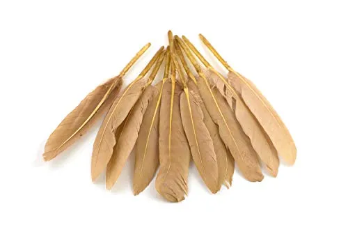 Indianerfedern ca. 10-15cm (sand/beige/natur 835) // Dekofedern Bastelfedern Masken Federn Schmuckfedern Vogelfedern 10