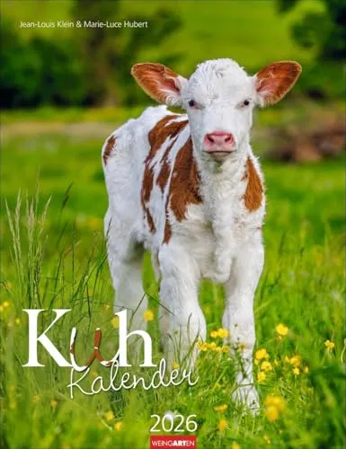 Kuh Kalender 2026: Foto-Wandkalender von den renommierten Tierfotografen Jean-Louis Klein und Marie-Luce Hubert. Süße Kälbchen und ländliche Idylle mit Planer. 30x39 cm (Tierkalender Weingarten)
