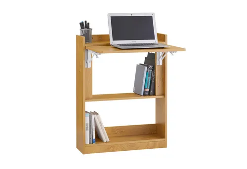 SoBuy Regal-Schreibtisch DE-FWT92 in beige von SoBuy