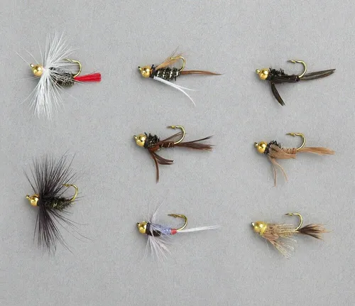 Balzer Edition Fly Forellen Goldkopf Nymphen Sortiment - Fliegen Set