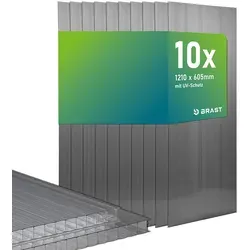 BRAST Hohlkammerplatten 10er Set 121x60,5 cm anthrazit - Robuste Hohlkammerplatten aus hochwertigem Polycarbonat für vielfältige Bauprojekte. Ideal für Gewächshäuser und Überdachungen. Wetterbeständig und langlebig, Gesamtfläche ca. 7,3 m².