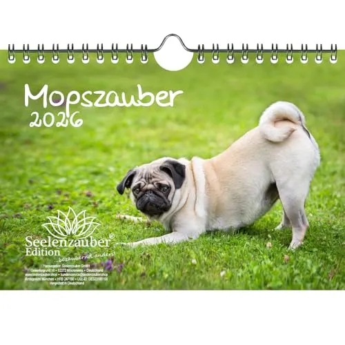 Mopszauber DIN A5 Kalender für 2026 Mops Hunde und Welpen - Seelenzauber