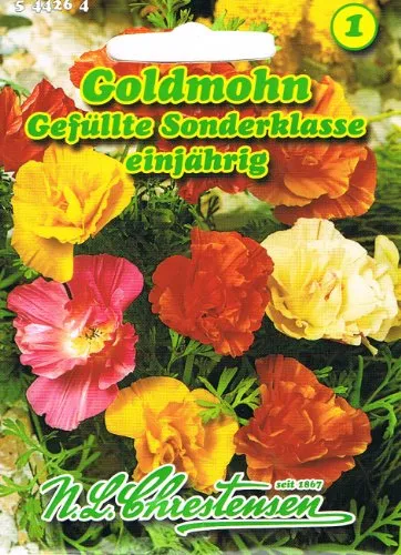 Goldmohn 'Gefüllte Sonderklasse' einjährig, leuchtende Farben, seidige Blüte 'Eschscholzia californica' Mohn
