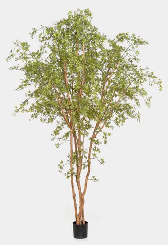 Kunstbaum Japanischer Ahornbaum ZEDRIC, 330 cm - Eleganter Kunstbaum in leuchtendem Grün, ideal für den Innenbereich. Mit seinem realistischen Design bringt er natürliche Atmosphäre in Ihr Zuhause.