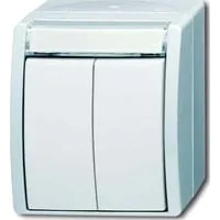 Busch-Jaeger Doppeltaster 2621 WN-54-205-101 - Smart Home Doppeltaster für die einfache Steuerung elektrischer Verbraucher. Mit 2 getrennten Strombahnen und beleuchtbarem Beschriftungsträger für individuelle Anpassung.