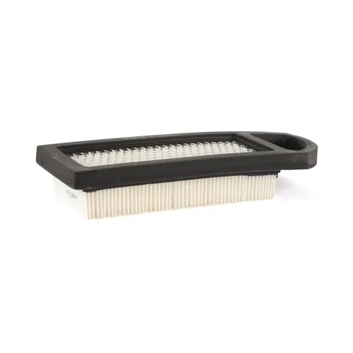 Briggs u. Stratton LUFTFILTER PATRONE 794422