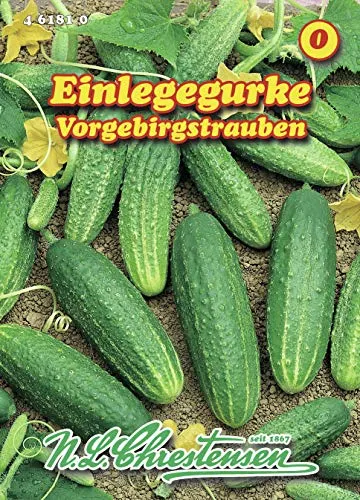 Einlegegurke Vorgebirgstrauben (Portion)
