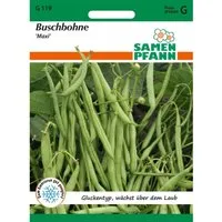 SAMEN PFANN Buschbohne Maxi