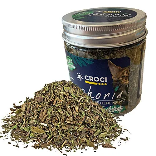 Croci Euphoria