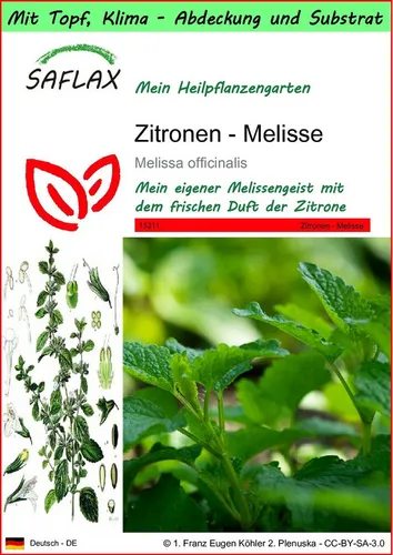 SAFLAX Blumensamen SAFLAX - Garden to go - Zitronen - Melisse