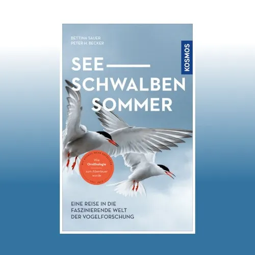 Seeschwalbensommer | Taschenbuch von Bettina Sauer - Faszinierendes Sachbuch über Verhaltensbiologie und Vogelbeobachtung. Entdecken Sie die Welt der Seeschwalben in diesem informativen Ratgeber!