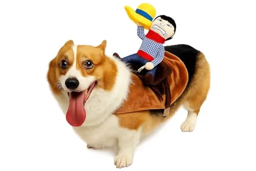 Corimori Hundekostüm Cowboy für Hunde & Katzen – Lustiges Western Outfit mit Sattel - Das Cowboy-Kostüm für Hunde sorgt mit seinem originellen Reitdesign für Aufsehen. Aus weichem Polyester gefertigt, ist es bequem und einfach anzulegen. Ideal für Fasching, Halloween und unvergessliche Fotos. Perfekt für Vierbeiner aller Größen!