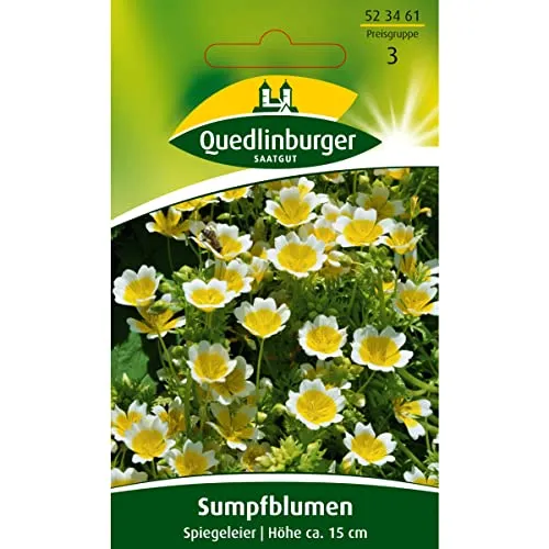 Sumpfblume, Spiegeleier