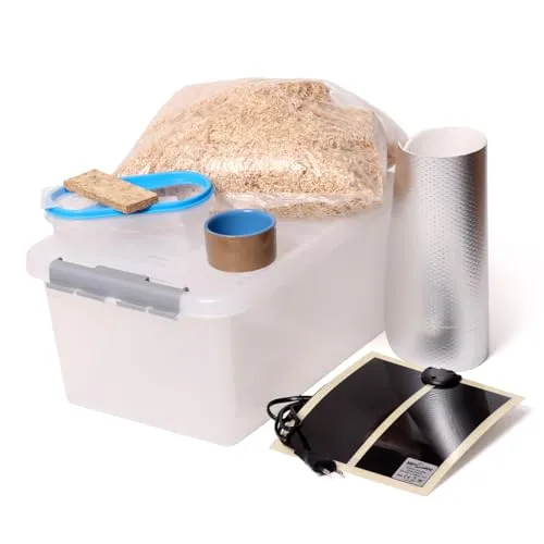 Komplettset für die Jungschlangen Aufzucht von M&S Reptilien