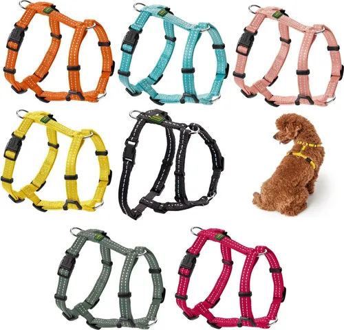 Hunter Geschirr Tripoli, Größe:XXS, Farbe:orange