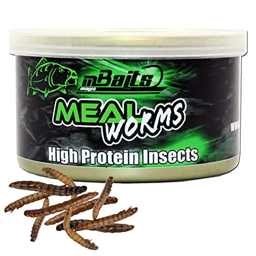 Angel-Berger Magic Baits High Protein Insect Canned Insects konservierte Insekten (Mealworms, 35g)