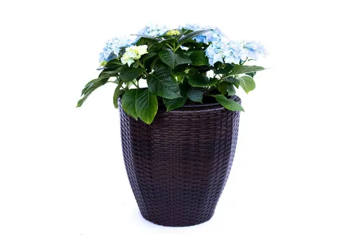 Elegant Einrichten Pflanzkübel Polyrattan rund konisch D46xH46cm coffee braun (1 St)
