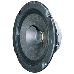 VIS BG 13 P-8 - Breitbandlautsprecher 20 W, 8 Ohm, ideal für P.A.-Anlagen und Bühnenmonitore mit hohem Schalldruckpegel