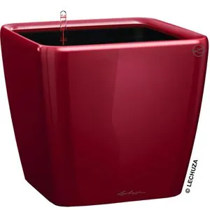 Lechuza Übertopf QUADRO LS 21 rot hochglanz von Lechuza