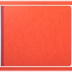 Exacompta 16130E Geschäftsbuch 27x32 - 13 Spalten in sortierten Farben - Sonstige Büroutensilien mit 80 Seiten, ideal für eine übersichtliche Buchführung und Organisation Ihrer Geschäftsdaten.