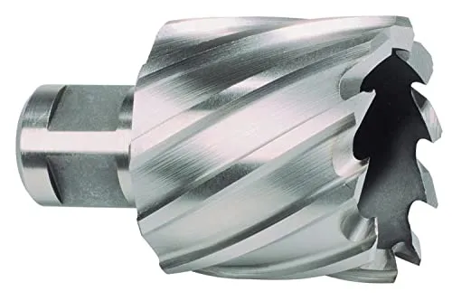 Ruko Kernbohrer HSS, 1 Stück, 108222